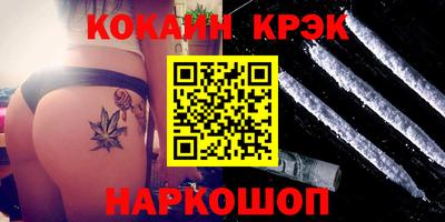мдпв Кингисепп