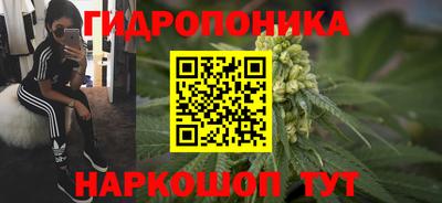 apvp Кимры