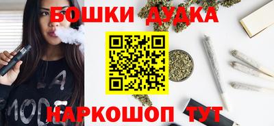 мдпв Кингисепп