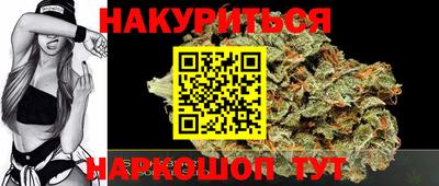 мдпв Кингисепп