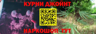 мдпв Кингисепп