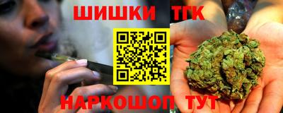 мдпв Кингисепп