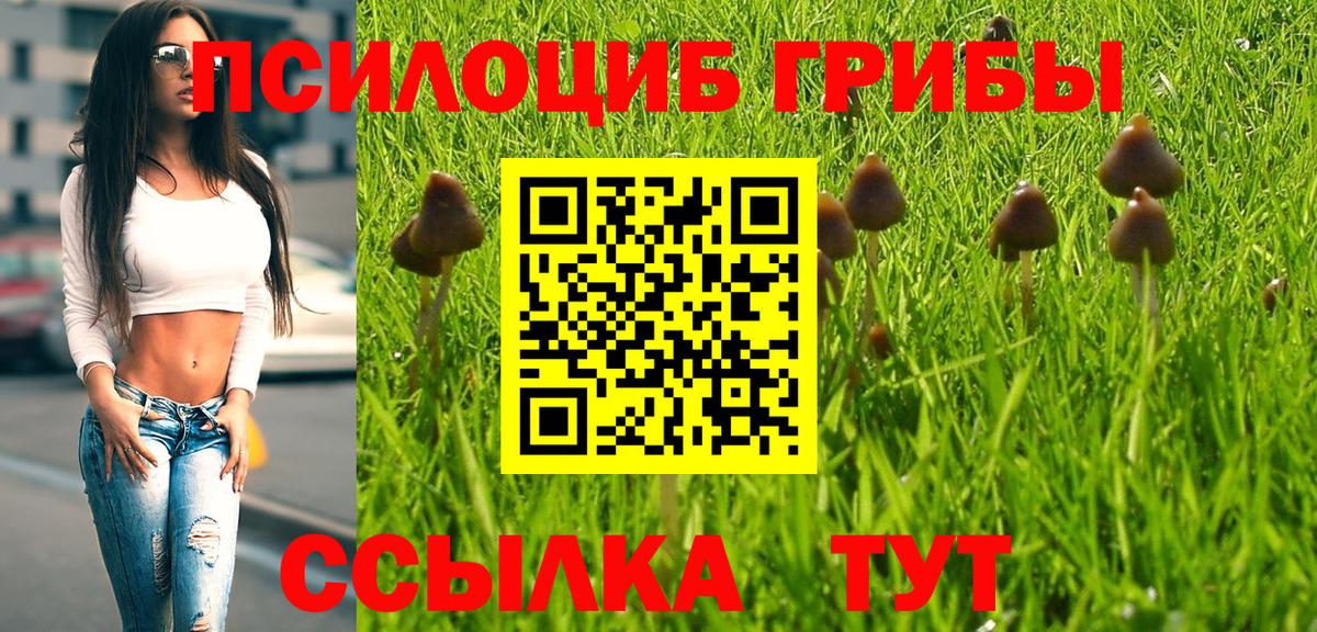 Кохма  Галлюциногенные грибы GOLDEN TEACHER  Вход с VPN  сколько стоит  Галлюциногенные грибы MAGIC MUSHROOMS 