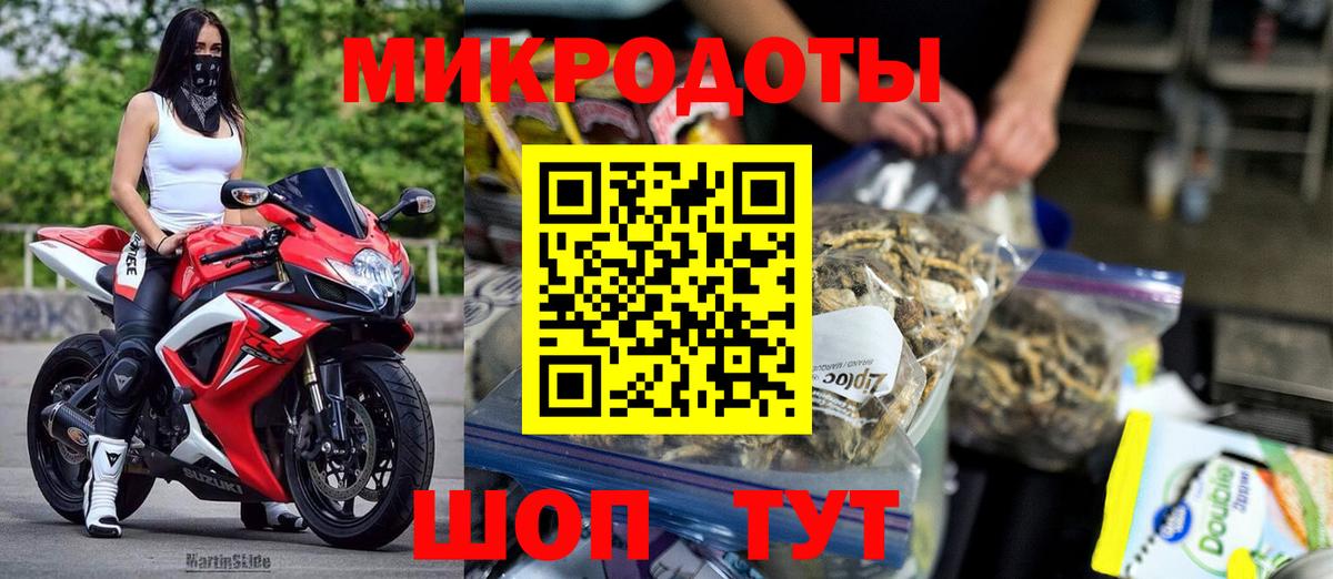 Псилоцибиновые грибы Psilocybe Кохма